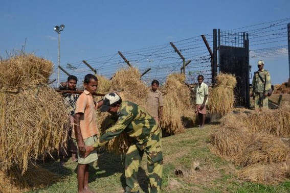 Indo-Bangla inter-border smuggling via Tripura : Bangladesh alerts forces to stop rawhide smuggling
